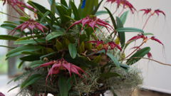 秋のラン ’１８＿５