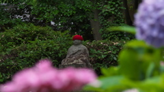 紫陽花３０＿２４