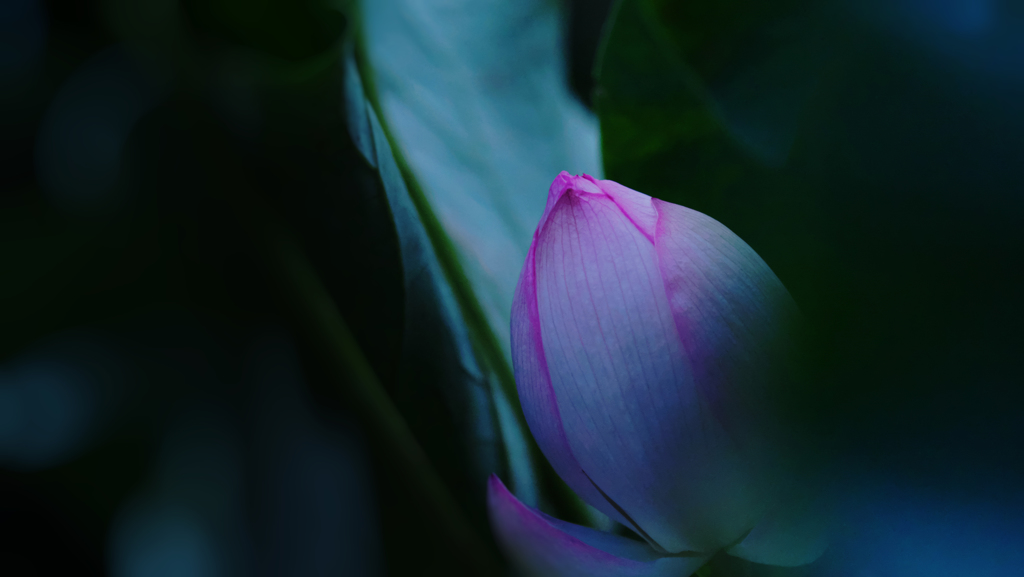 孫文蓮＿３０−９