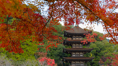 香山園 秋の彩り’２２＿８
