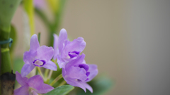 秋のラン ’１８＿３