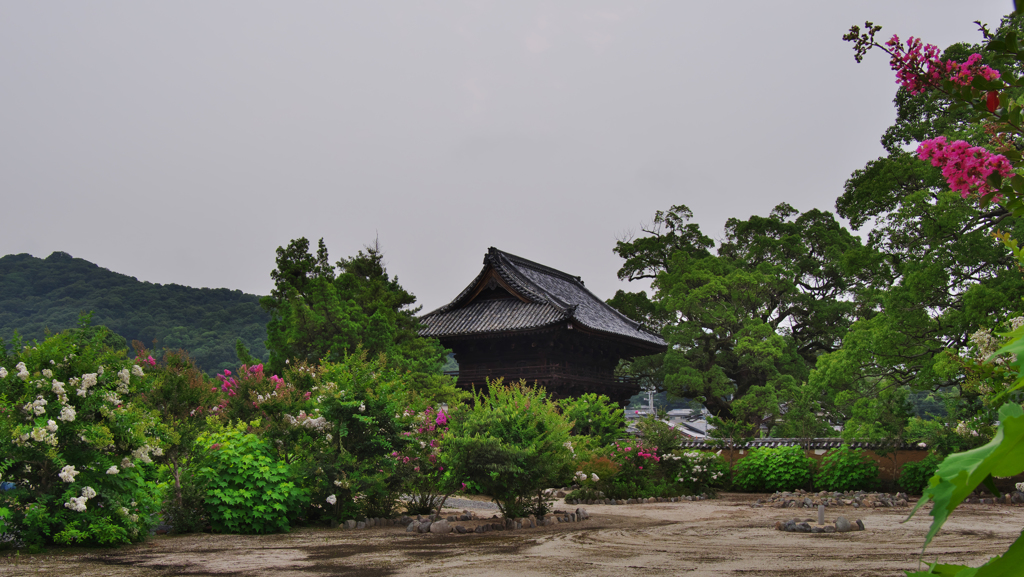 周防国分寺・５