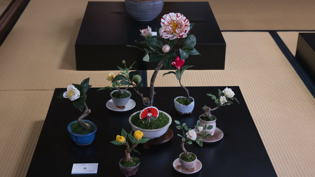 アート盆栽・２