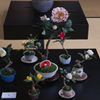 アート盆栽・２