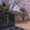 桜・萩城跡１＿１