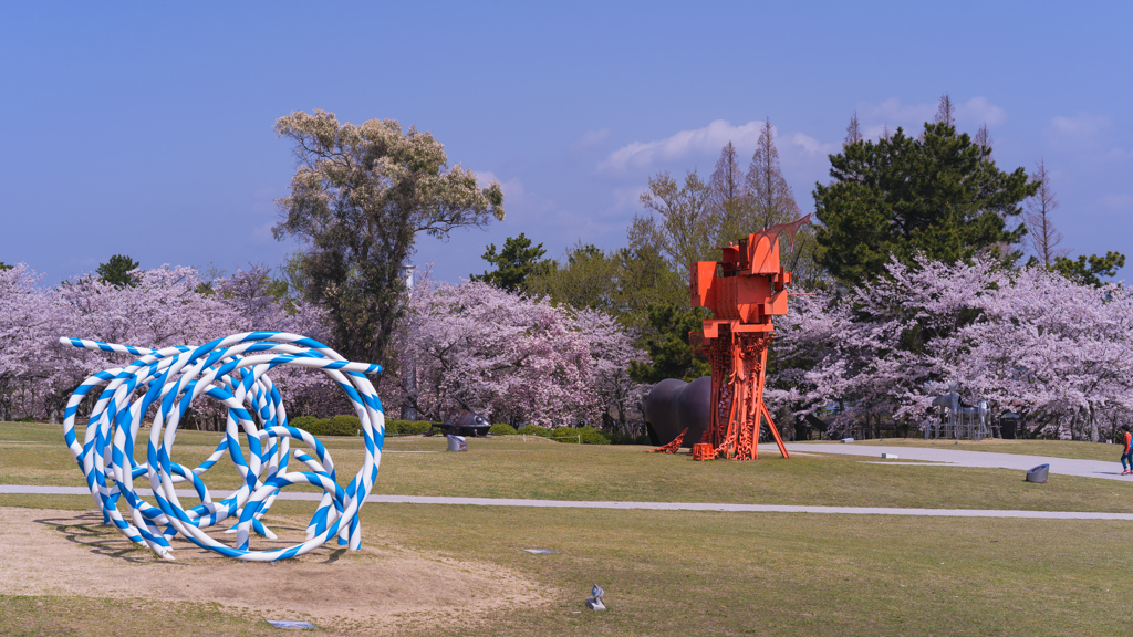 ときわ公園の桜＿７