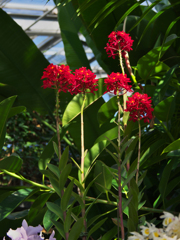 ラン展 in 下関・１５