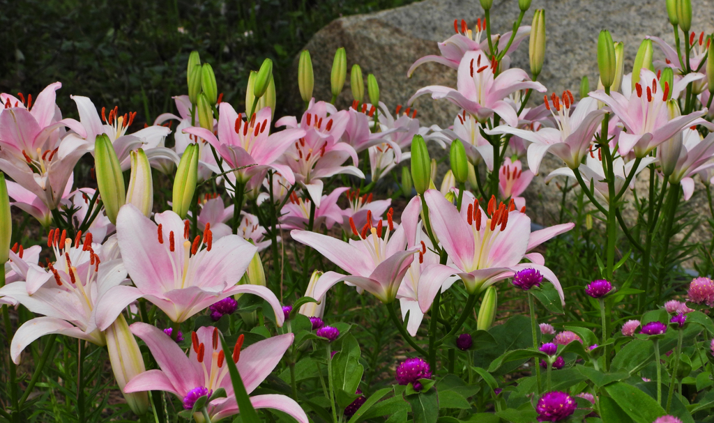 花通り＿５