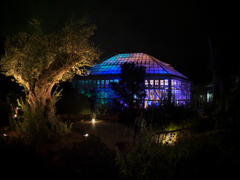 チームラボ・ときわ公園 ２０１９＿２２