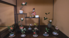アート盆栽・３