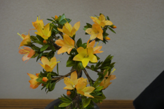 造花展・２３