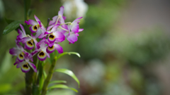 ラン・３１＿１０