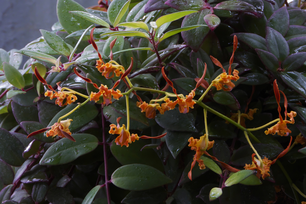 ラン・３１＿３