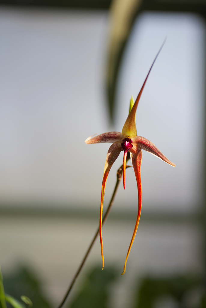 秋のラン ’１８＿１３