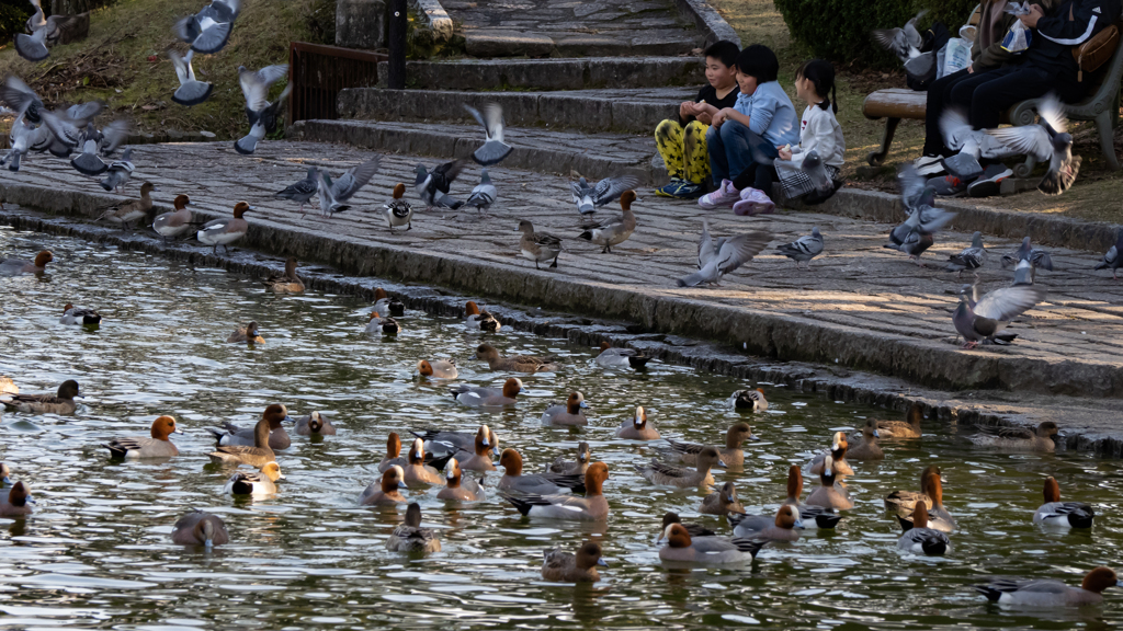 維新公園にて＿２