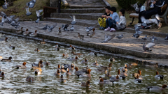 維新公園にて＿２