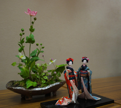 造花展・３０
