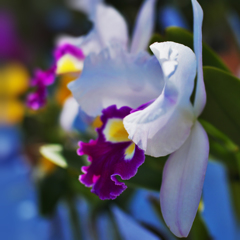 ラン展 in 下関・２