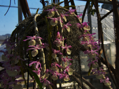 ラン展 in 下関・１１