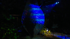 チームラボ・ときわ公園 ２０１９＿７