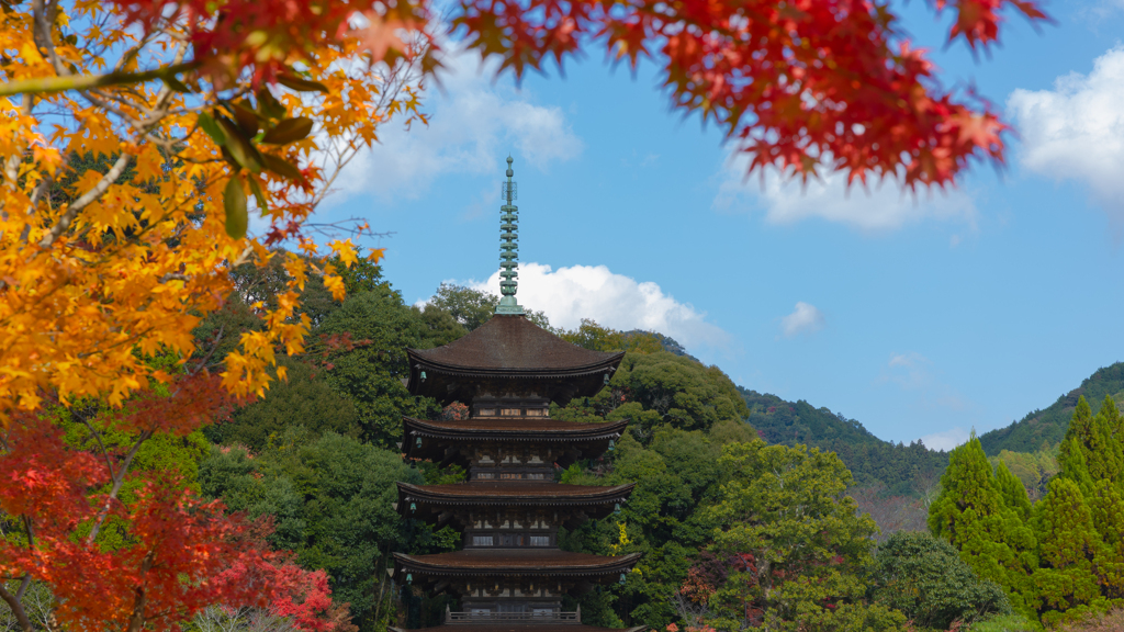 香山園 秋の彩り’２２＿４
