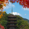 香山園 秋の彩り’２２＿４