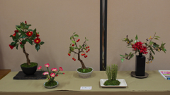 造花展・６
