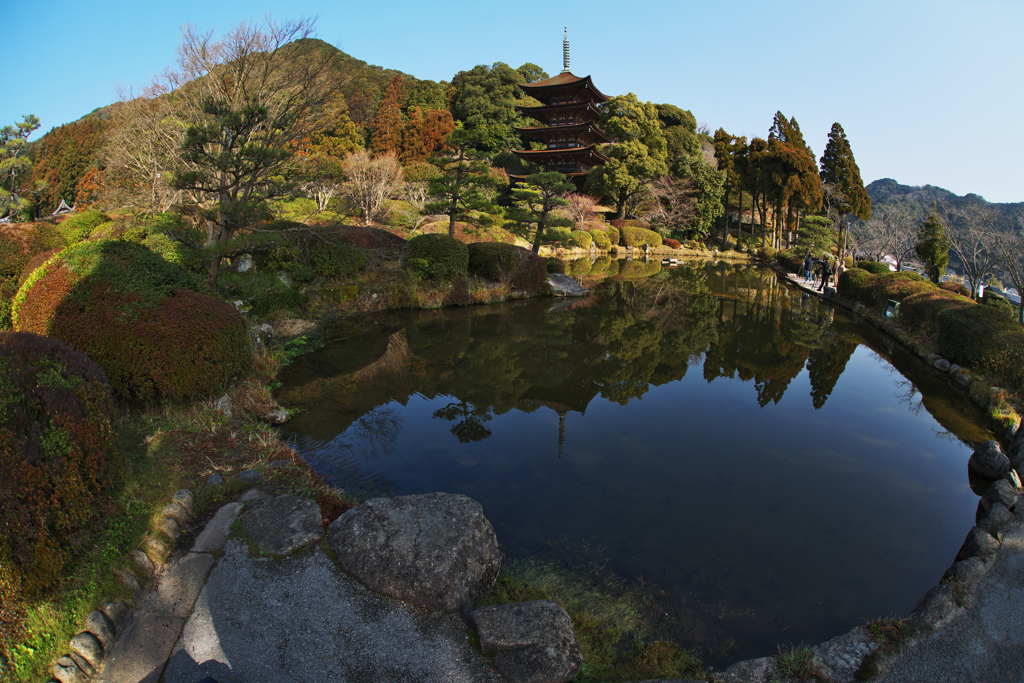 魚眼の眼・香山園 五重塔