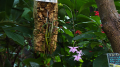 秋のラン ’１８＿１４