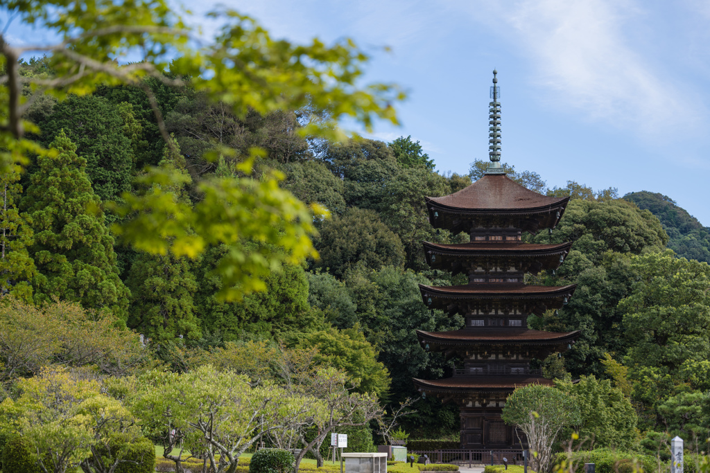 試写１・NIKKOR Z 70-200mm f/2.8 VR S