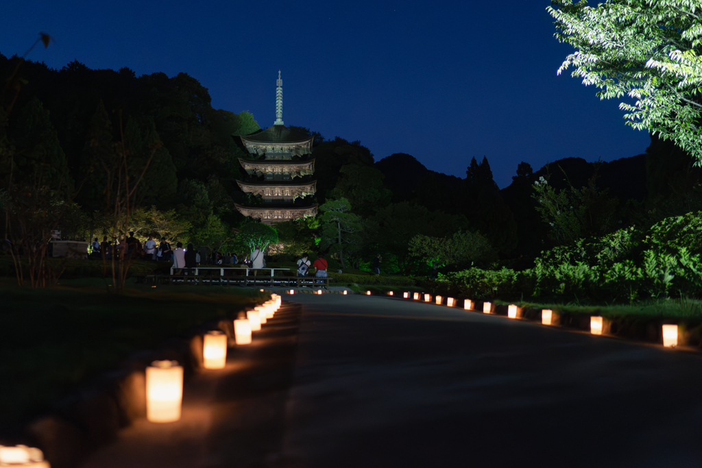 五重塔・４＿ライトアップ（ノイズ除去）