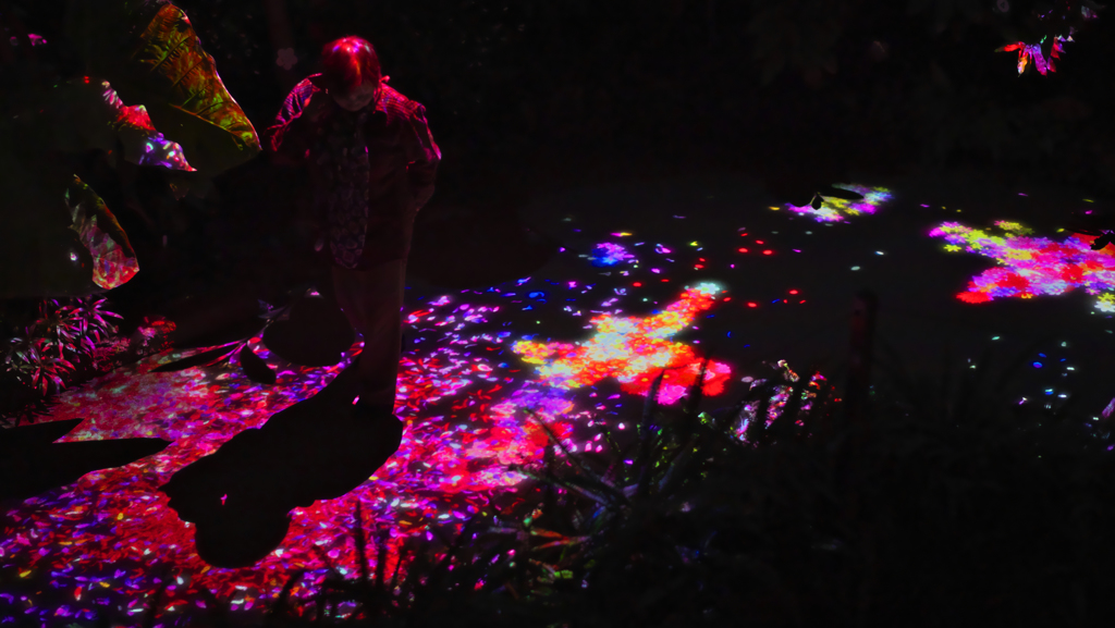 teamlab★デジタルアート＿１８