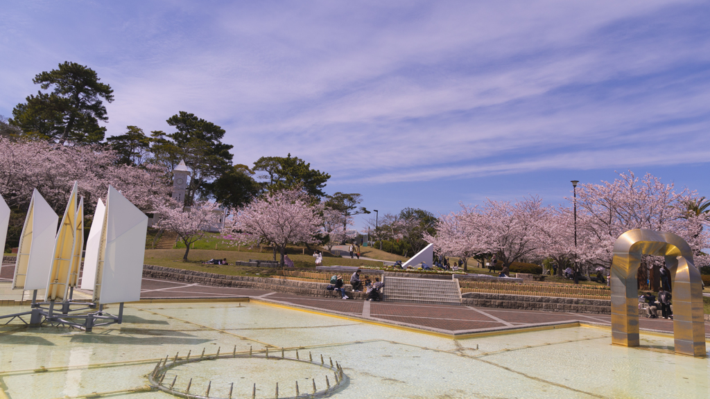 ときわ公園の桜＿２０