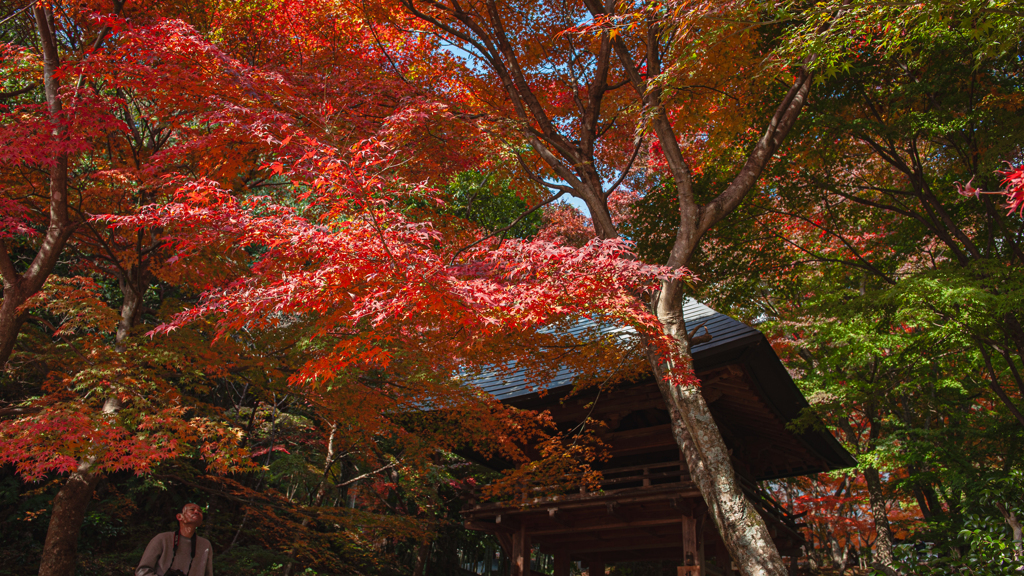 紅葉の頃＿３