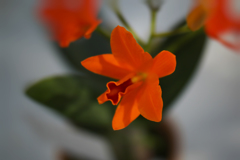 ラン展 in 下関・３