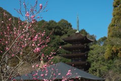 梅花と五重塔＿８