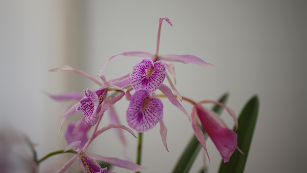 秋のラン ’１８＿１