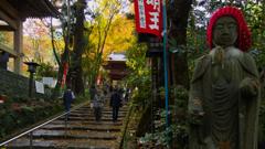 秋の彩り・龍蔵寺１