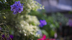 ラン・３１＿１８