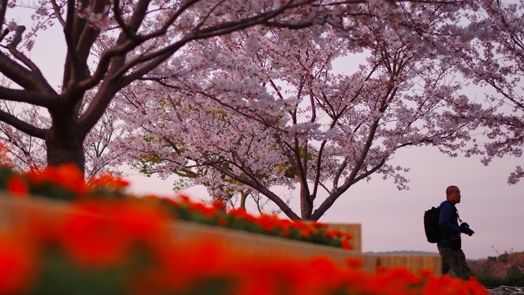 春・ときわ公園・３１＿１０