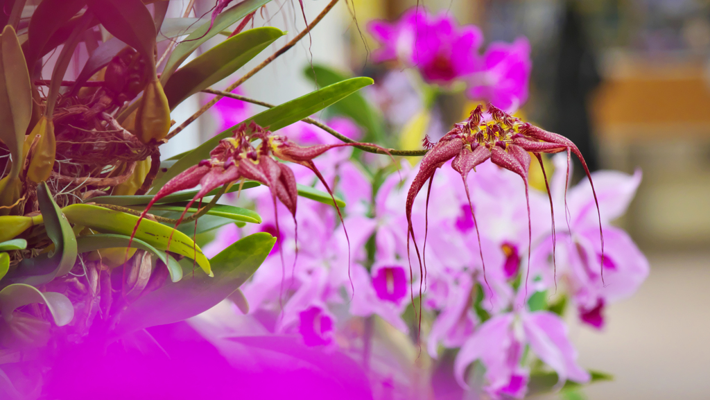 秋のラン ’１８＿８