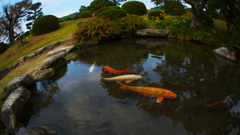 魚眼の眼・毛利氏庭園１