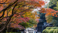 防府毛利氏庭園・秋の彩り＿５