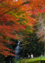 秋の彩り・龍蔵寺１０