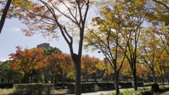 紅葉・パークロード ３０＿２４