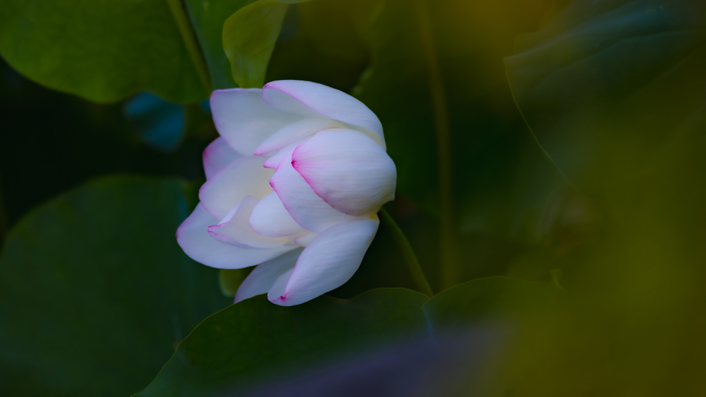 孫文蓮・３＿２