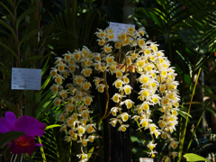 ラン展 in 下関・１６