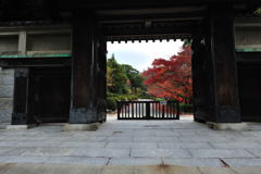 紅葉探索・５２