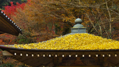 秋の彩り・龍蔵寺３