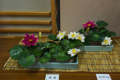 造花展・１８